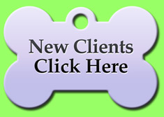 new clients