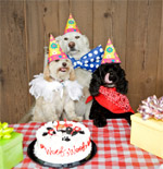 Birthday Parties