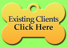 existing clients